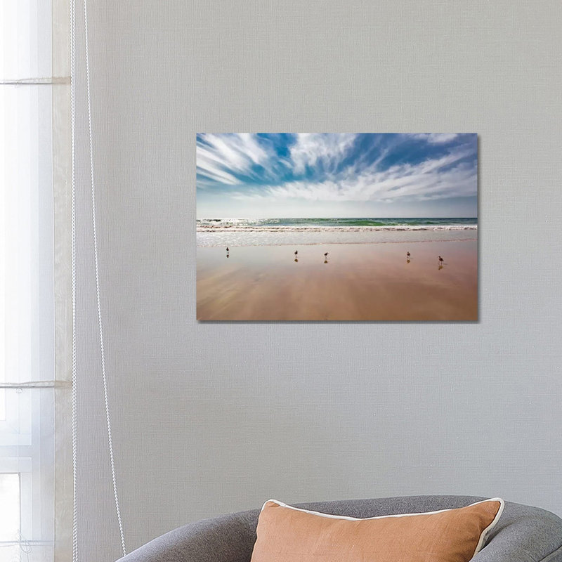 Birds On Beach, Del Mar by Barbara Markoff - Wrapped Canvas Print