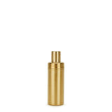 Simple Stainless Steel Shaker