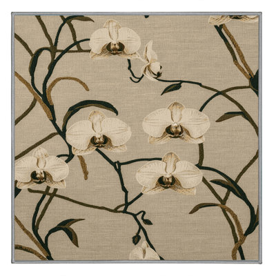 Machine Washable Botanical Brown Area Rug