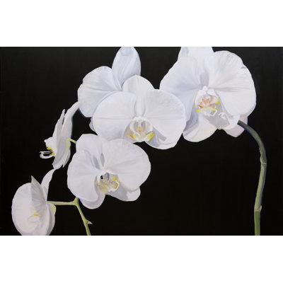 Dramatic Orchids I - Photograph