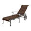 Michigan Woven Chaise Lounge-84499498-69932167