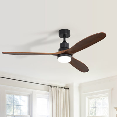 Ventilateur de plafond noir à 3 pales avec lumière DEL et télécommande Nicola