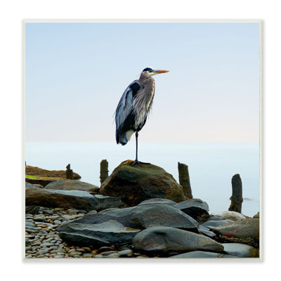 « beach héron oiseau ocean animal » par james mcloughlin-impression sur toile sans cadre