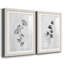 Neutre pré III - reproduction de dessin-940881620-940881622-940881623