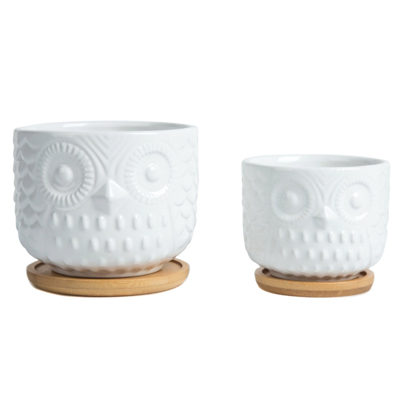 Antavius Ceramic Pot Planter