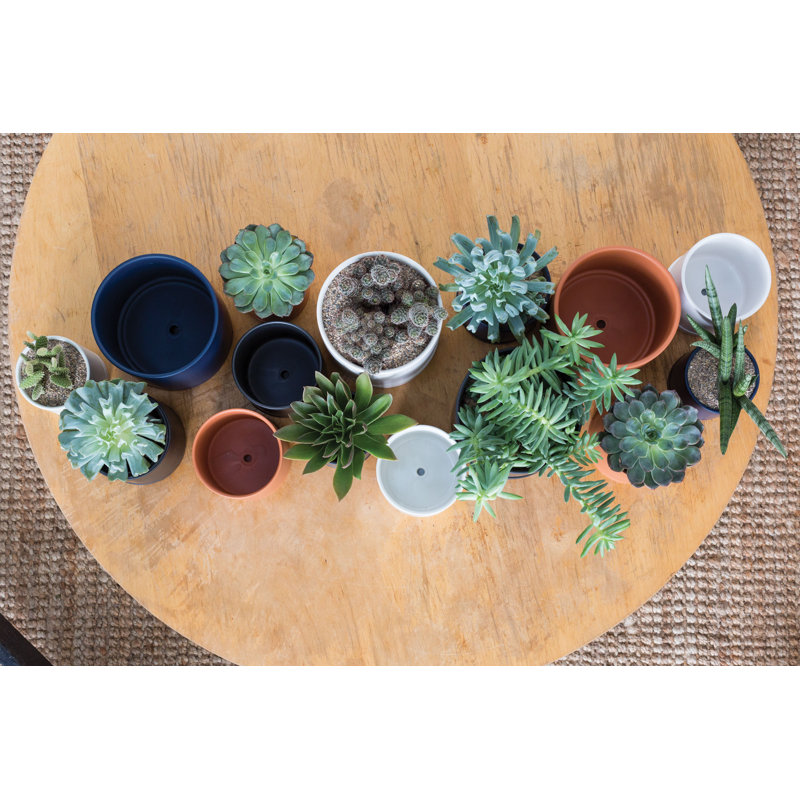 Jardinières en pot, H 4,8 po x l 4,3 po x P 4,3 po, Terra Cotta
