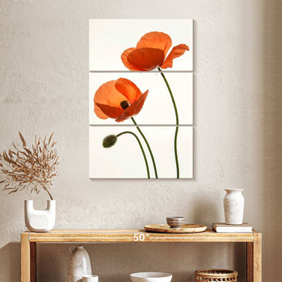 Fleurs de pavot orange Harnek