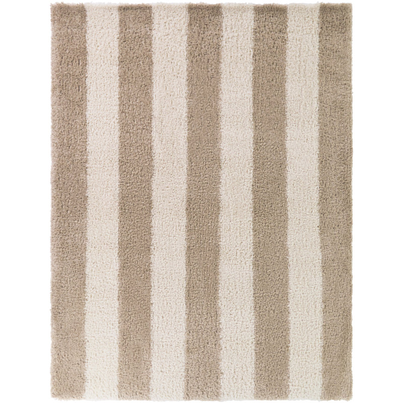 Alyzia Beige Modern Stripe Shag Area Rug, Rectangle 5'3" x 6'12"