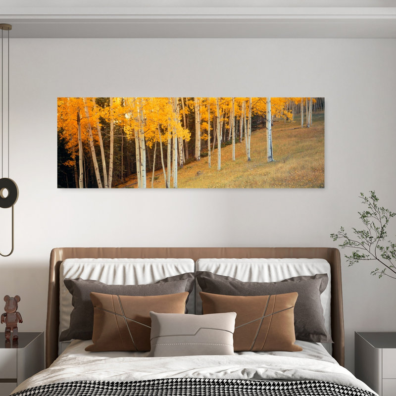 Aspen Trees in a Field, Ouray County, Colorado, États-Unis, art contemporain de paysage forestier abstrait, H 60 po x l 20 po