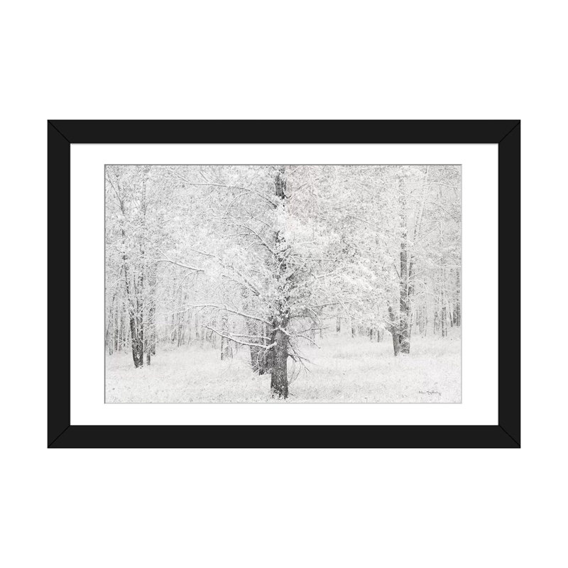 « snow recouvert cottonwood trees » par alan majchrowicz, impression sur toile, H 16 po x l 24 po x P 1 po, Blanc