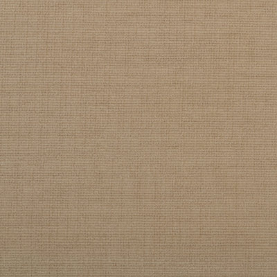 Blaire All Purpose Fabric