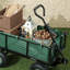 Garden Cart-1160206491