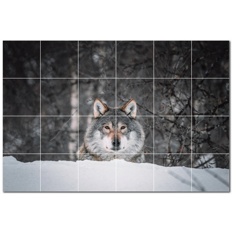 Murale en céramique satinée loup 12 po x 12 po Wolf Photo