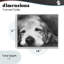 Giclée encadrée de la journée du chien monochrome, design par Walt Johnson-1642797050-1642797051