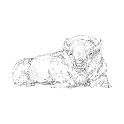 Bison Shape Sketch I 1 Piece Painting on Canvas