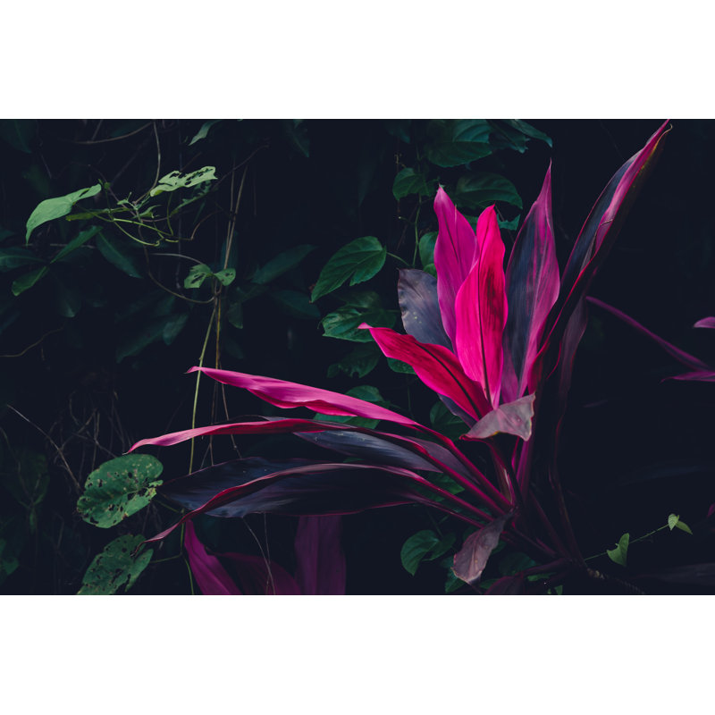 Tropical Plants by Beli_photos - Wrapped Canvas Print, 30cm H x 46cm W