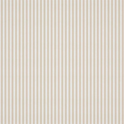 Carnival Stripe Fabric