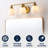 Lauder Iron/Frosted Glass Farmhouse Cottage LED Vanity Light-1981464513-1985817738