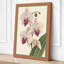 Orchids in Bloom Botanical - Wrapped Canvas-2065504263-2065504271