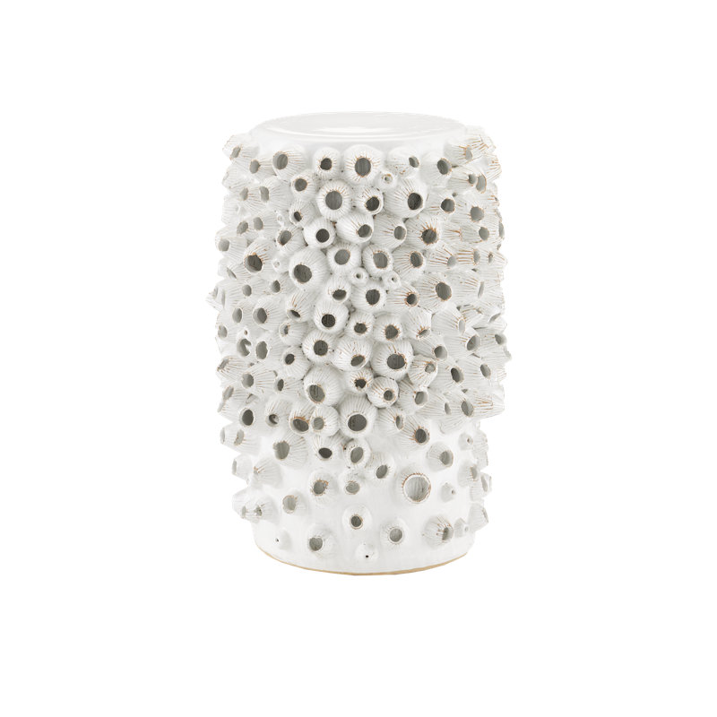 Barnacle End Table