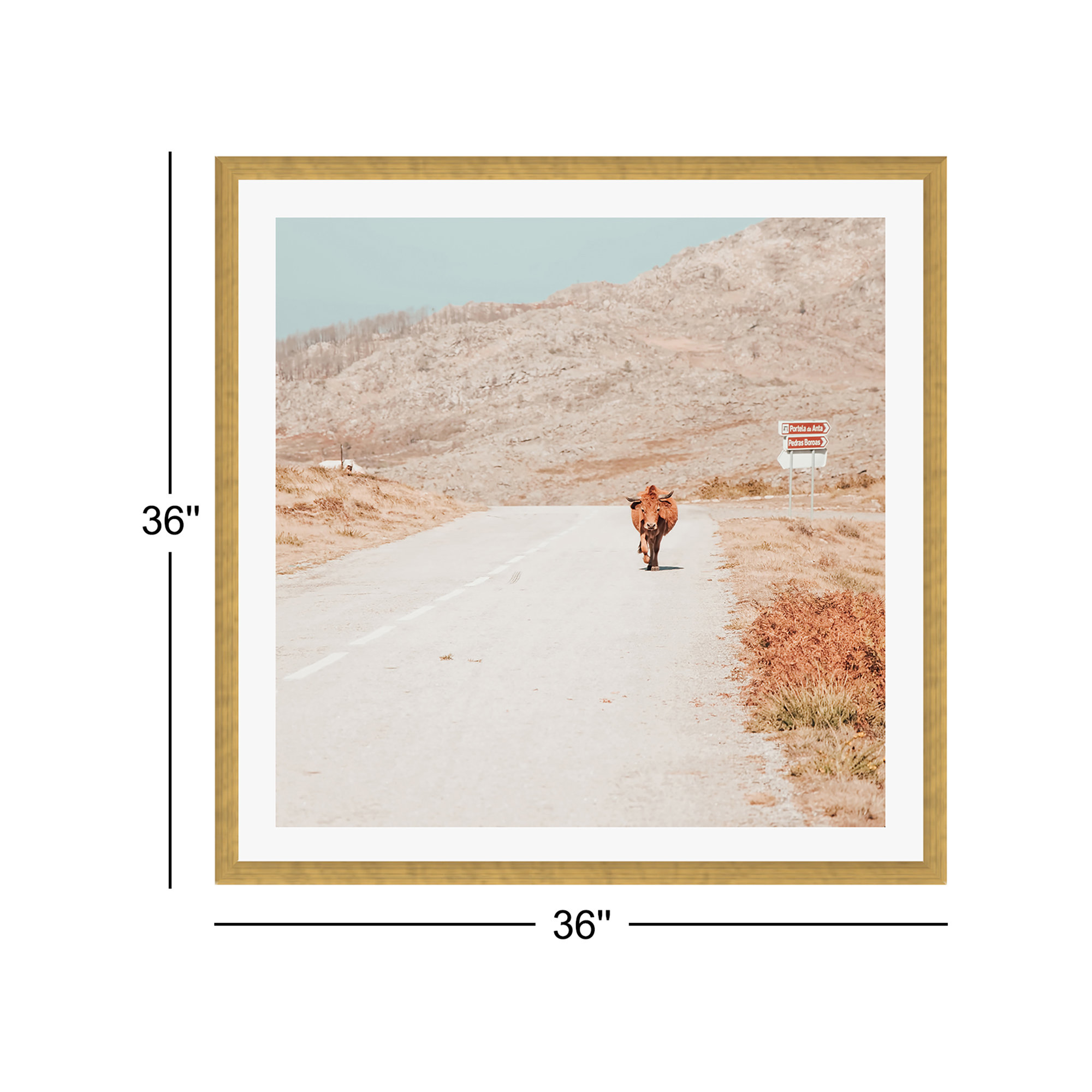 On The Road I by Ingrid Beddoes, Gold Single Picture Framed, 36" H x 36" W x 0.75" D, Yes
