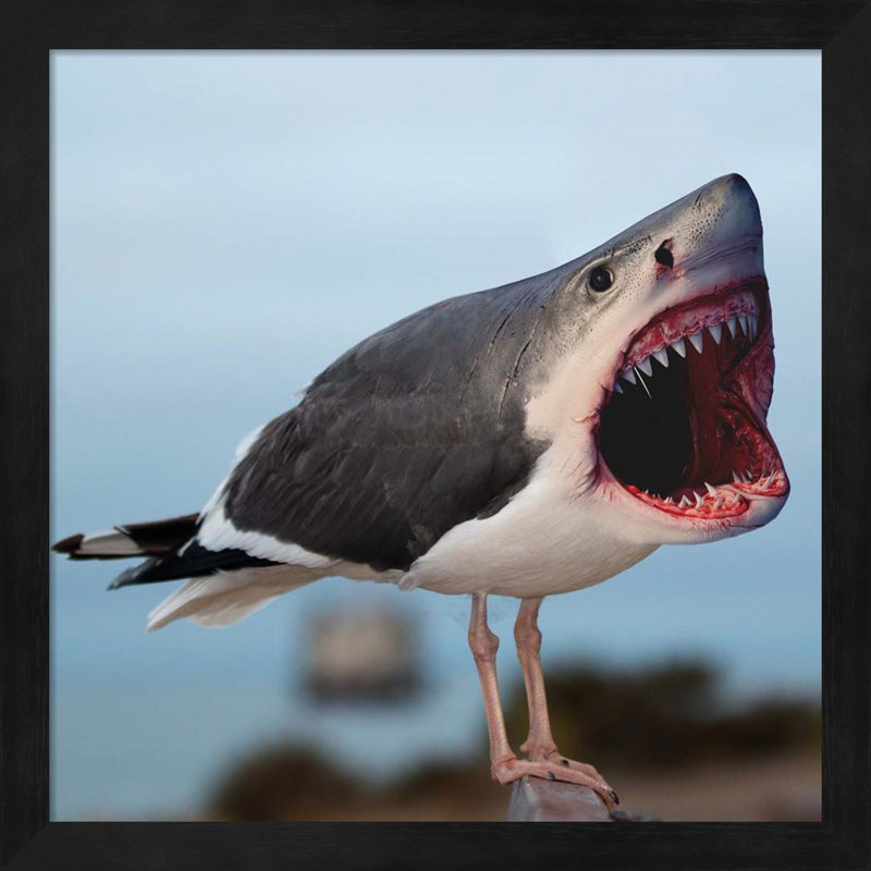 " Sharkgull " by Pixelmated Animals