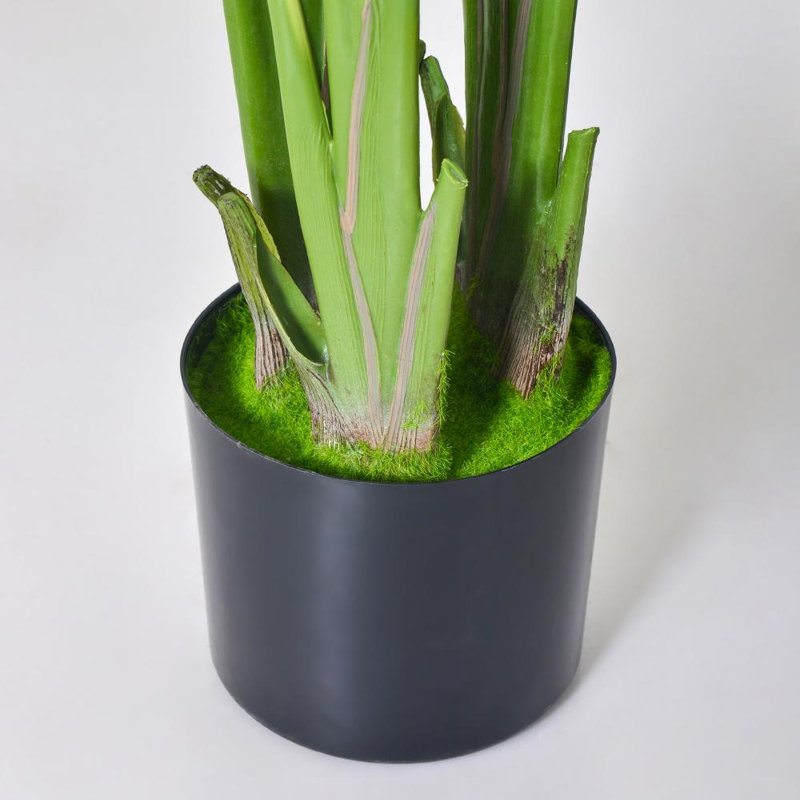 Faux bananier en pot noir avec mousse séchée, H 70,86 po x l 7,08 po x P 5,9 po, 1