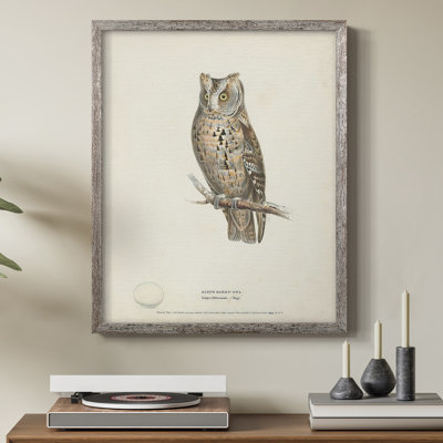 Scops Eared Owl Framed Print - Solid Wood