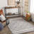 Anfaniola Geometric Machine Woven Area Rug in Gray/Black-253529877