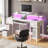 Computer Desk With LED Lights & Power Outlets, Home Office Desk With 4 Drawers, Writing Desk With Keyboard Tray, Study De Sk With Monitor Stand, Work For Home Office-954261623-954261625