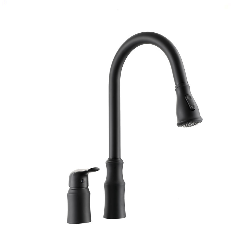 Kitchen Sink Faucet With Separate Handle, Matte Black