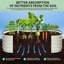 Raised Garden Bed-2112329946