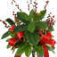 Arrangement dans un vase Lewistown Magnolia