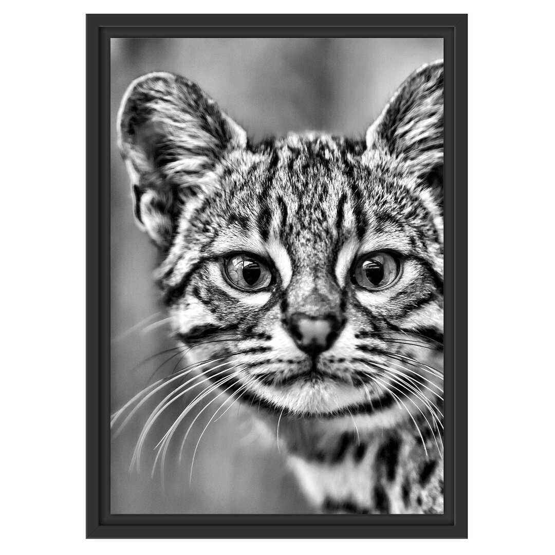 Gerahmtes Wandbild kleine Bengalkatze