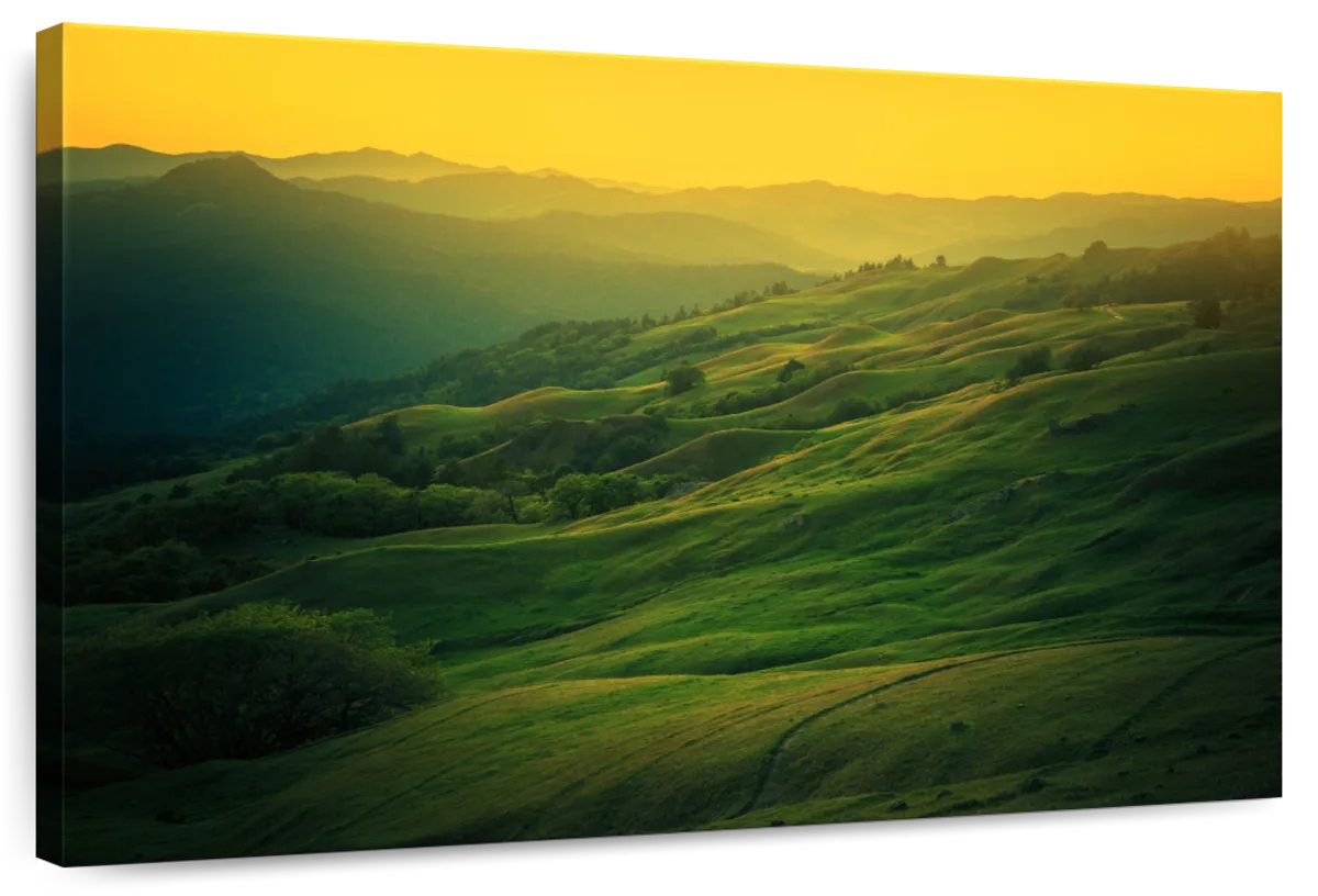 Millwood Pines Alvord California Landscape Sunset | Wayfair