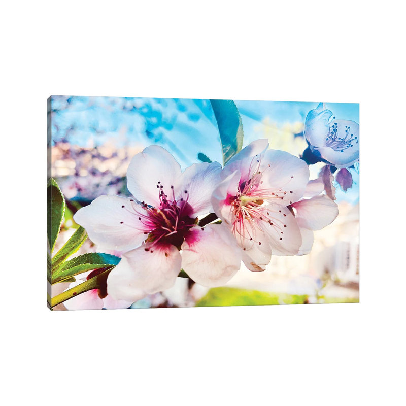 Flowery Couple XXII by Irena Orlov - Wrapped Canvas Print, 20.32cm H x 30.48cm W x 1.905cm D