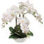 20 "fleurs d'orchidées phalaenopsis blanches dans un pot blanc rond de 8"