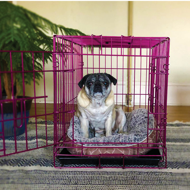 Caisse pour animaux, Rose, H 20 po x l 18 po x P 24 po