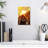 Lilie Sunny Building Skylight-108484469
