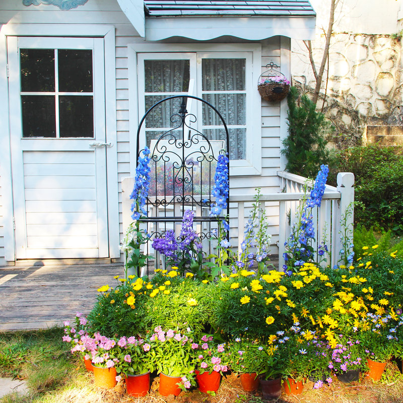 Bromell 70.8'' H x 25.6'' W Iron Lattice Panel Trellis