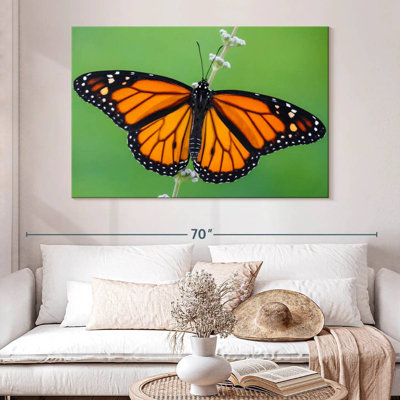 Brampt Pretty Monarch Butterfly