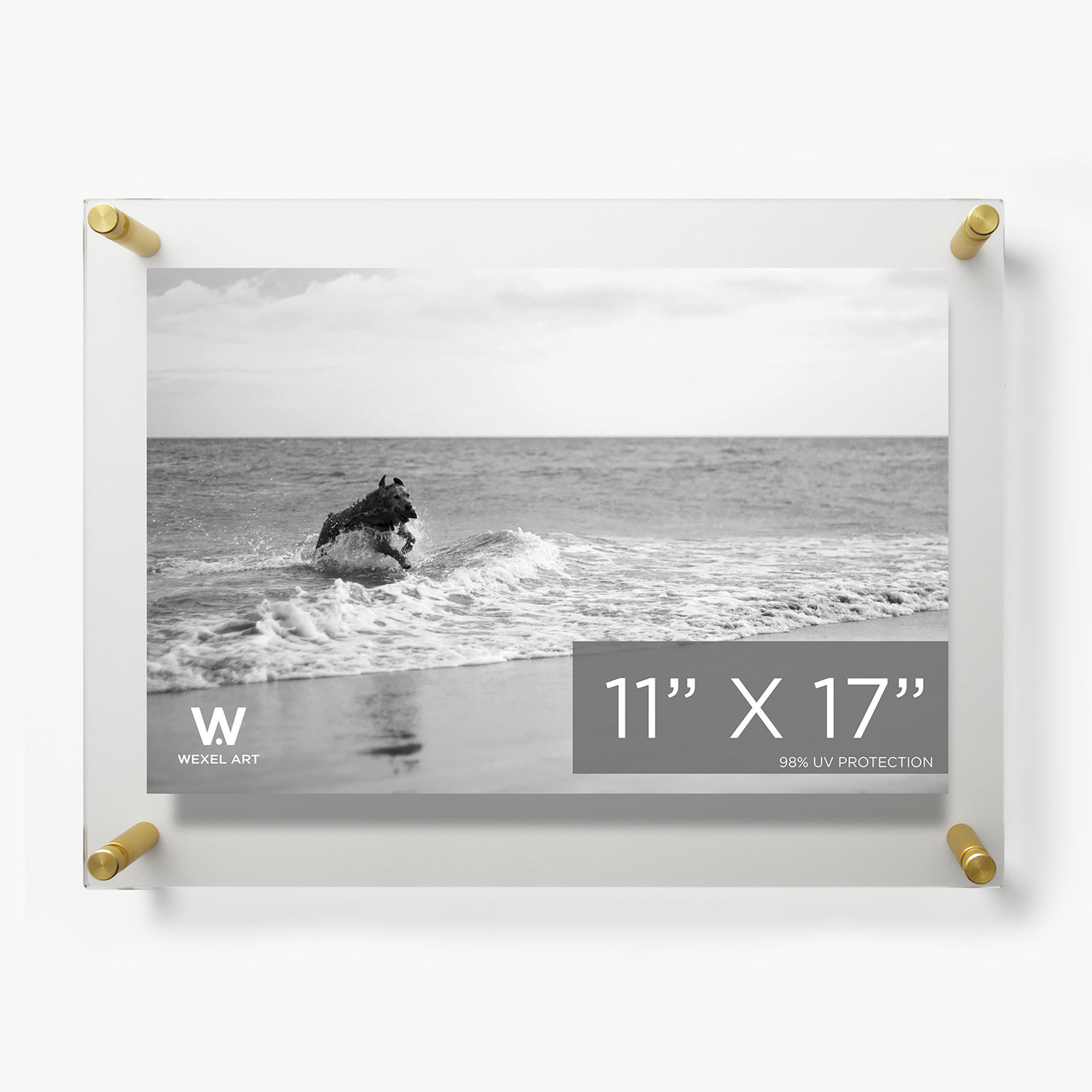 Acrylic Floating Picture Frame, Gold, 11" W x 17" H
