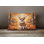 Other/No Pattern Outdoor Throw Pillow