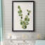Botanical Wash III - Impression de cadre photo sur papier-1989108930-1989108929