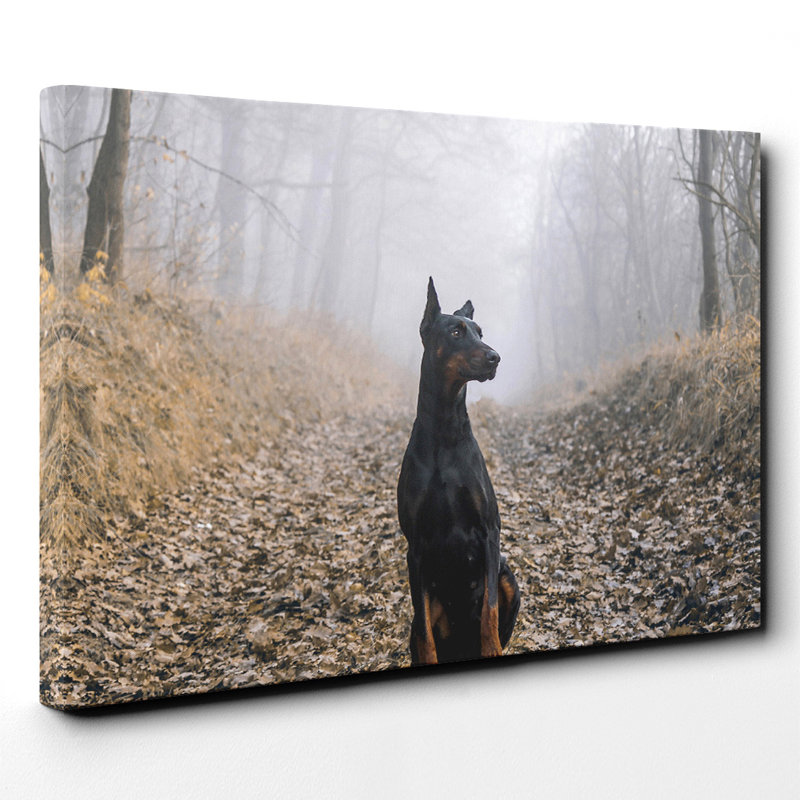Doberman Dog - Wrapped Canvas, 35cm H x 50cm W