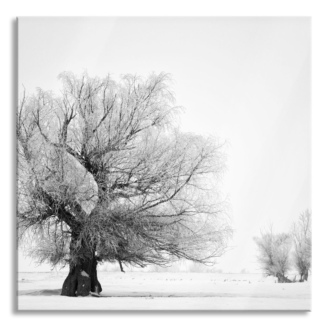 Glasbild Bäume im Schnee