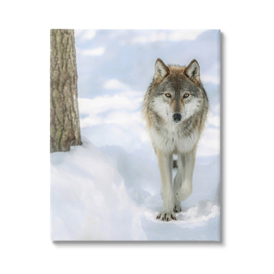 «Au-937-Canvas Wild Wolf Winter Snow On Canvas» par Carrie Ann Grippo-Pike, photographie