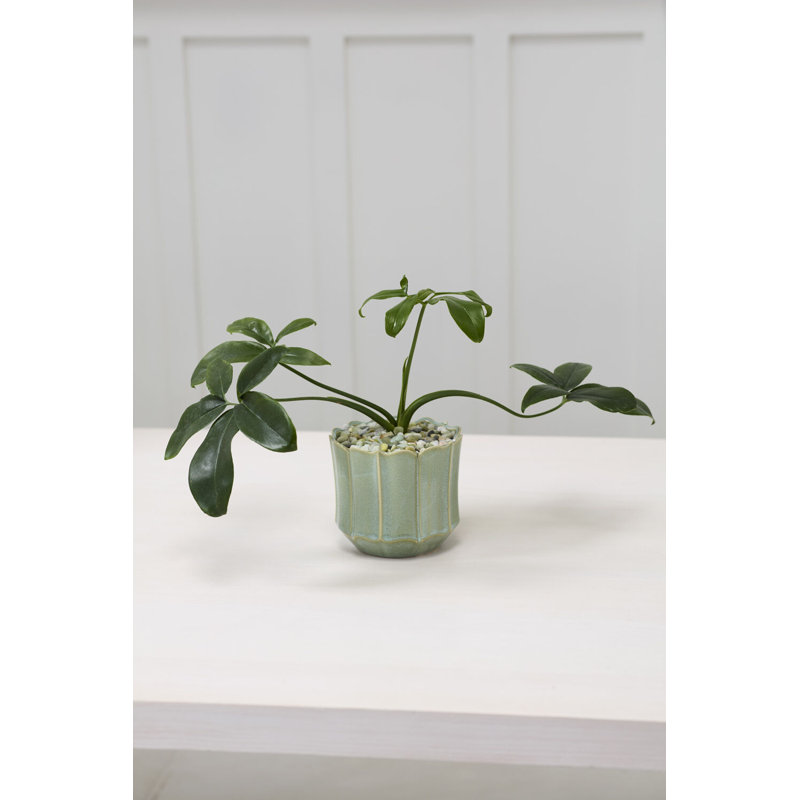 Pot Everleaf - grand