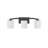 Cacia 4-Light Vanity Light in Matte Black-688817041-721505151-721505136