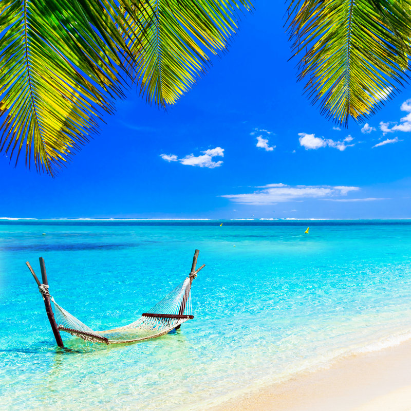 Hammock In Turquoise Water - Wrapped Canvas Print, 122cm H x 122cm W x 3.8cm D